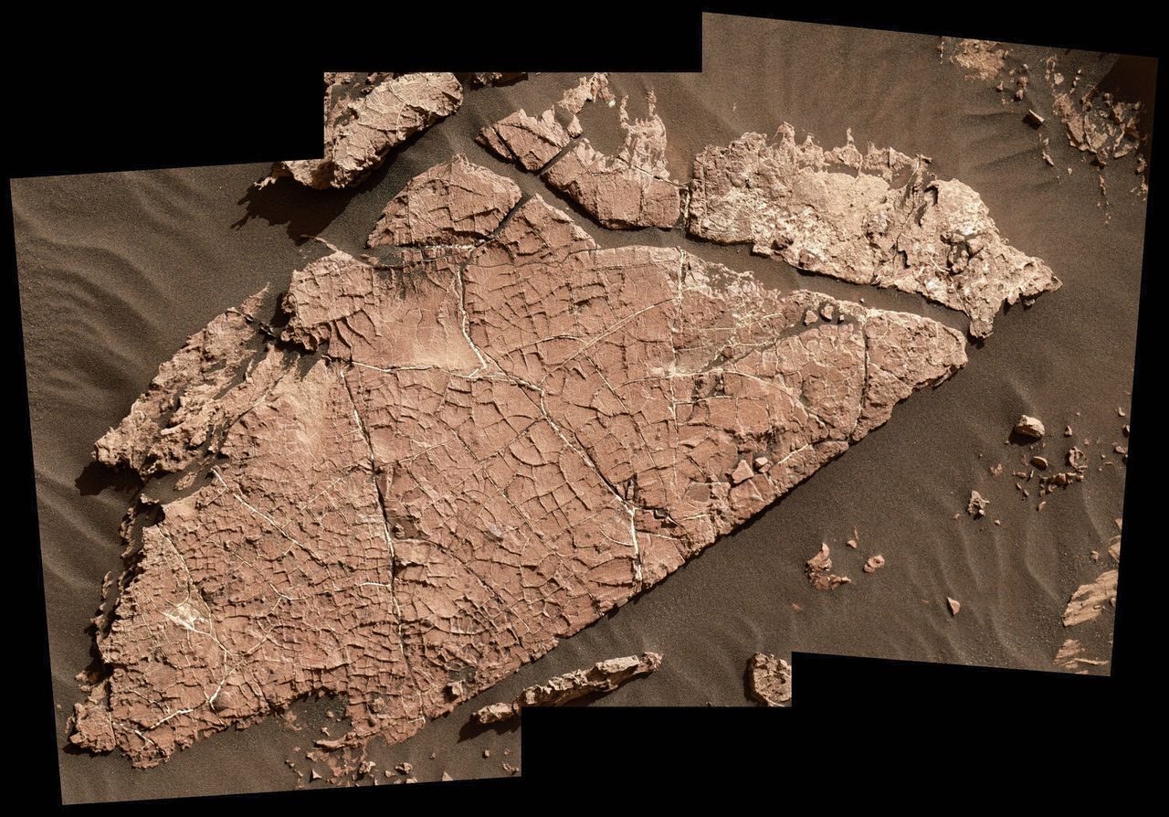 Afzettingen van mineraalzouten in barsten in de steenplaat ‘Old Soaker’ op Mars. Ze zijn mogelijk ruim 3 miljard jaar geleden ontstaan. NASA/JPL-Caltech/MSSS
