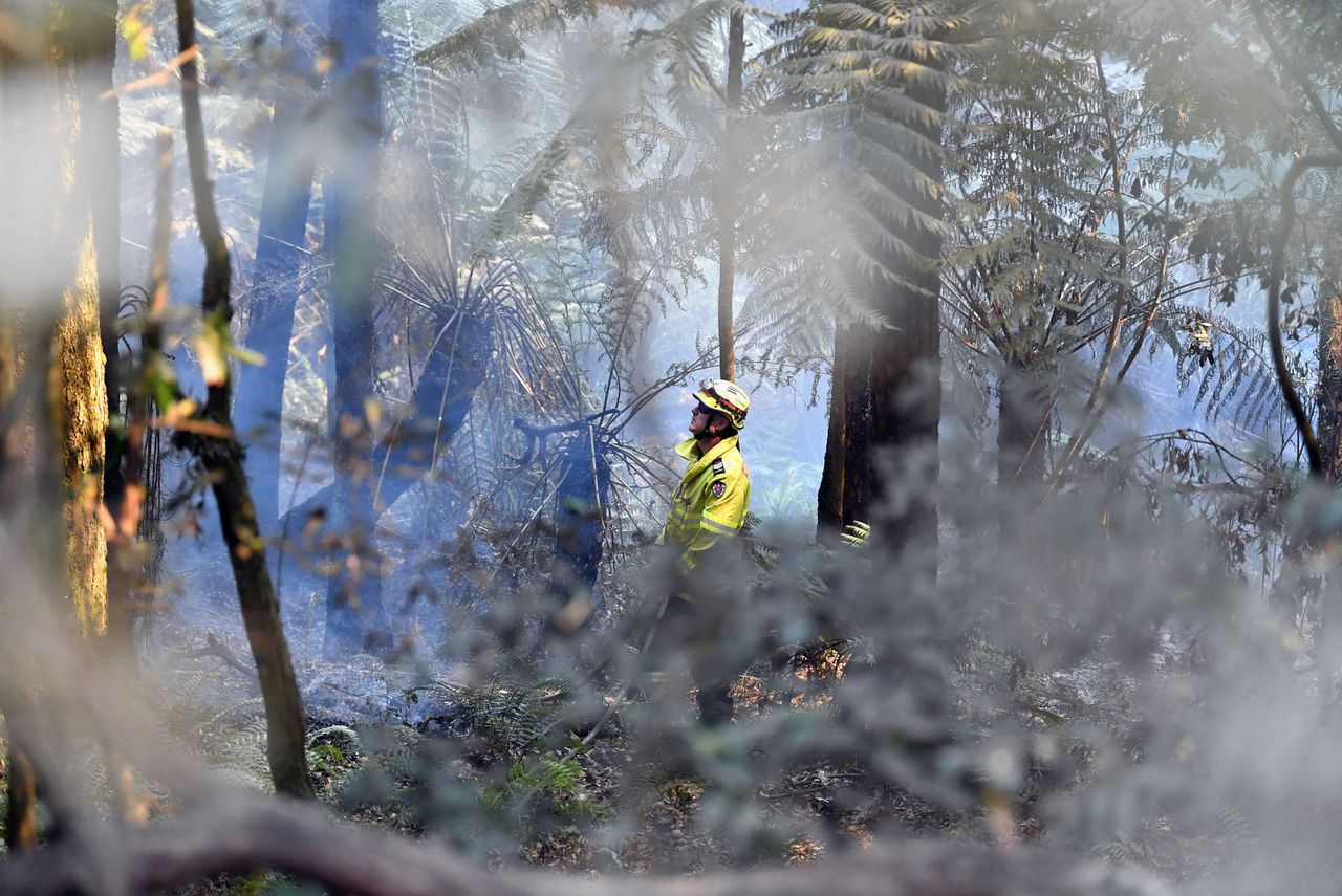 Een brandweerman in het bos in Mount Weison, 120 kilometer ten noordwesten van Sydney, waar ook grote branden plaatsvonden.