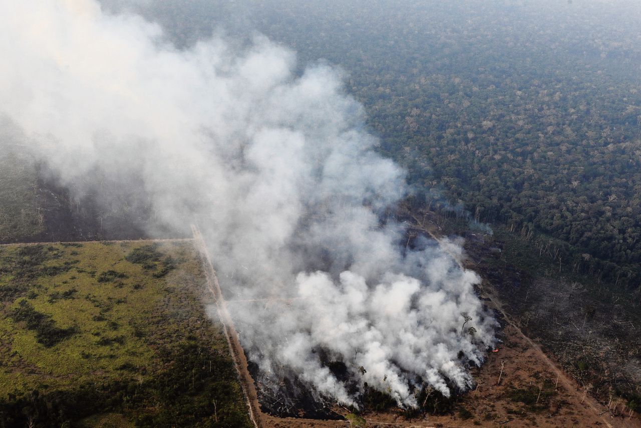 Bosbranden in de Amazone in de buurt van Porto Velho, vlakbij de westelijke grens van Brazilië met Bolivia