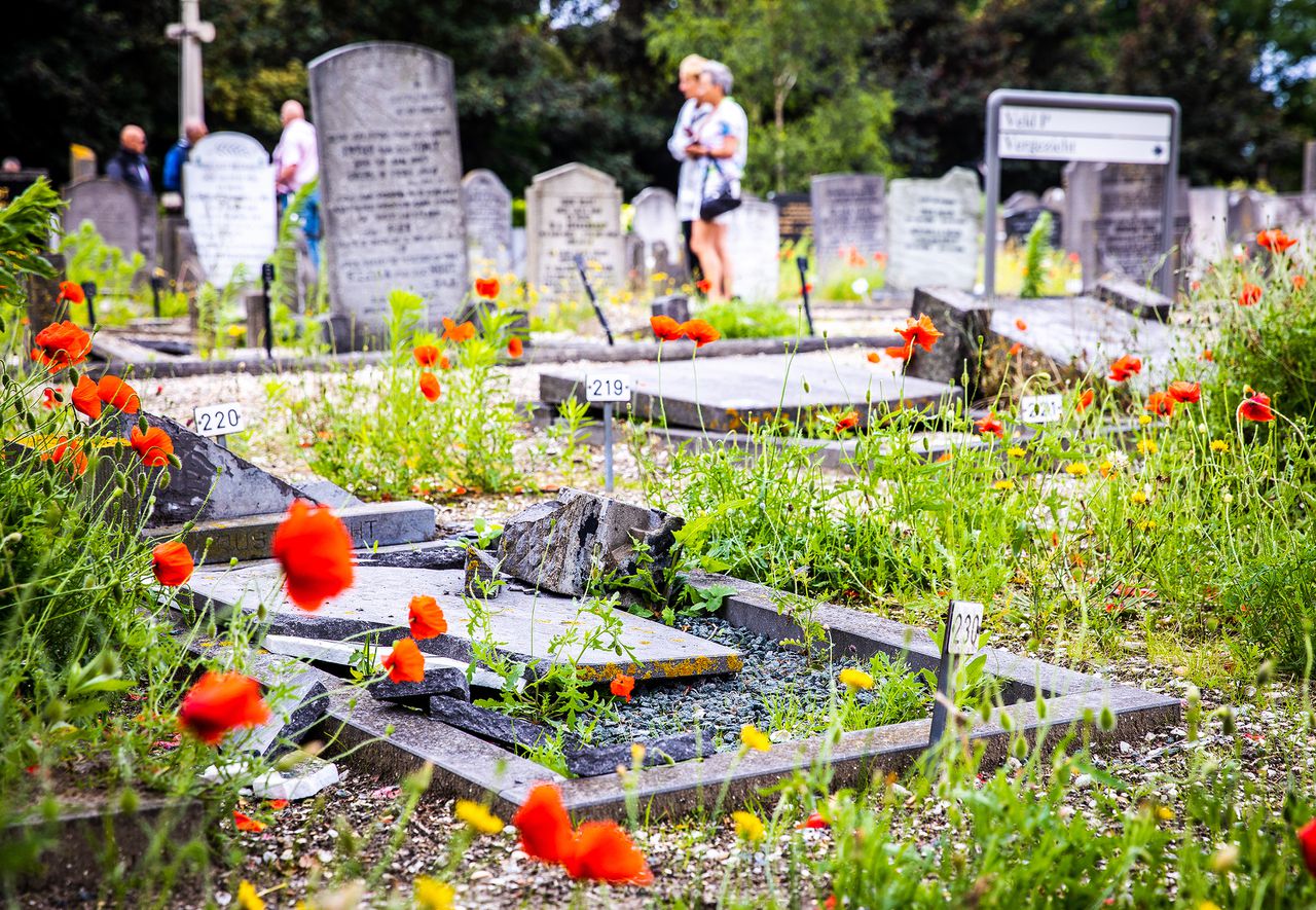 De politie denkt dat in totaal zo'n honderd tot honderdvijftig graven zijn vernield op de begraafplaats.