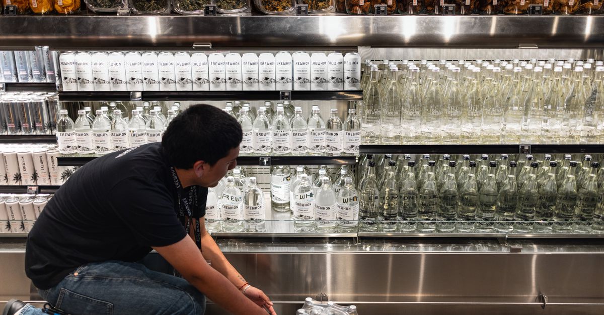 Bij de Amerikaanse Aldi zie je: de toenemende ongelijkheid in de VS is een groeiend risico voor Trump