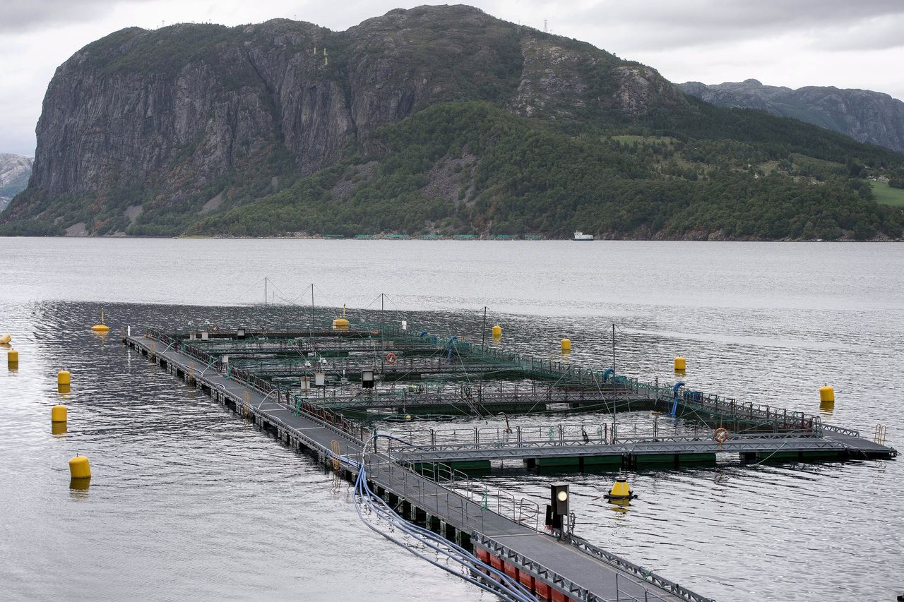 Een viskwekerij in Noorwegen.