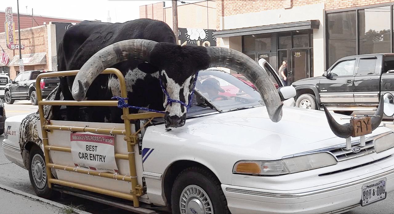  Automobilist met 'verwende stier’ van 1.000 kilo op passagiersstoel in VS aangehouden 