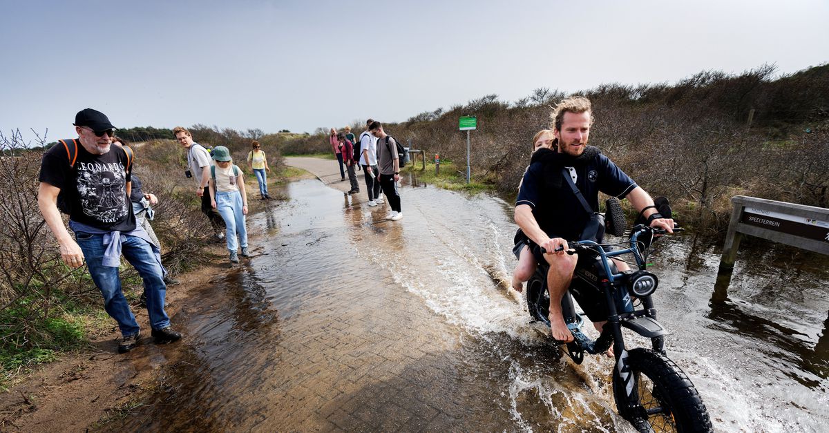 Massaal van het weer genieten? In de natte duinen worden mensen weggestuurd: ‘Je verwácht het gewoon