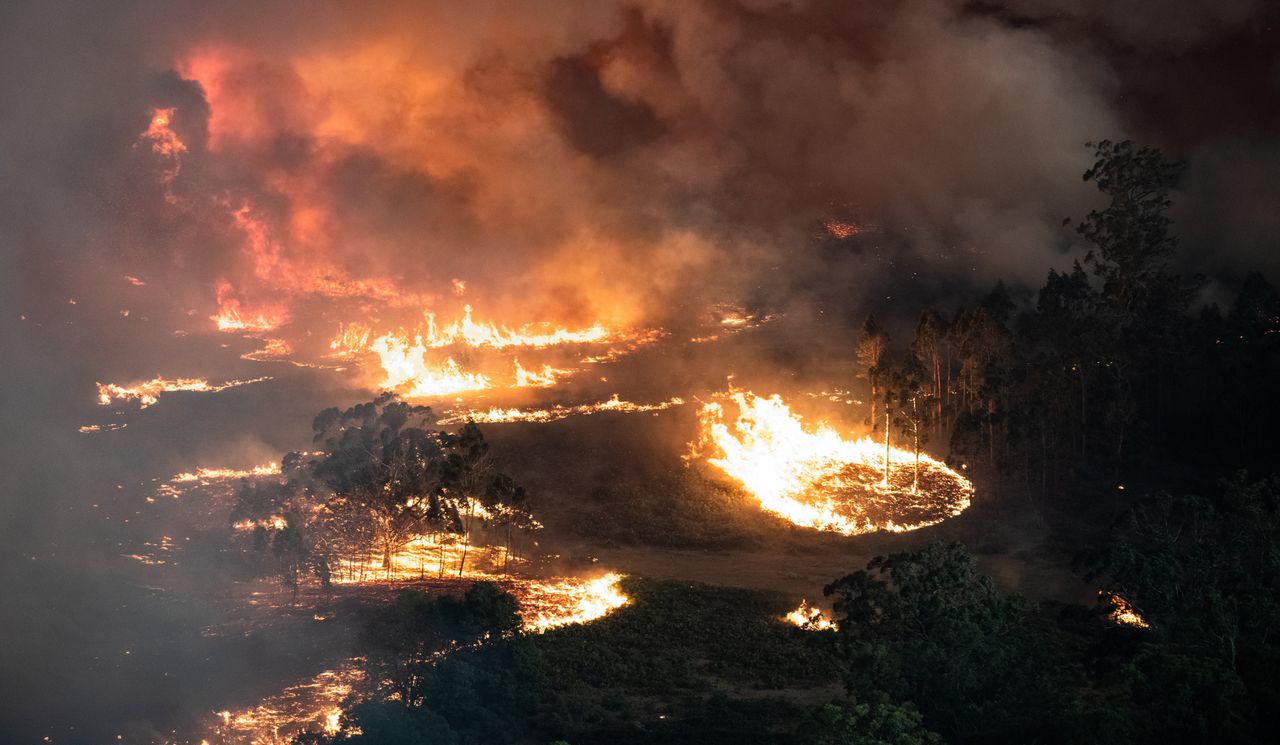 Naar schatting zijn meer dan een miljard dieren in Australië door branden om het leven gekomen.