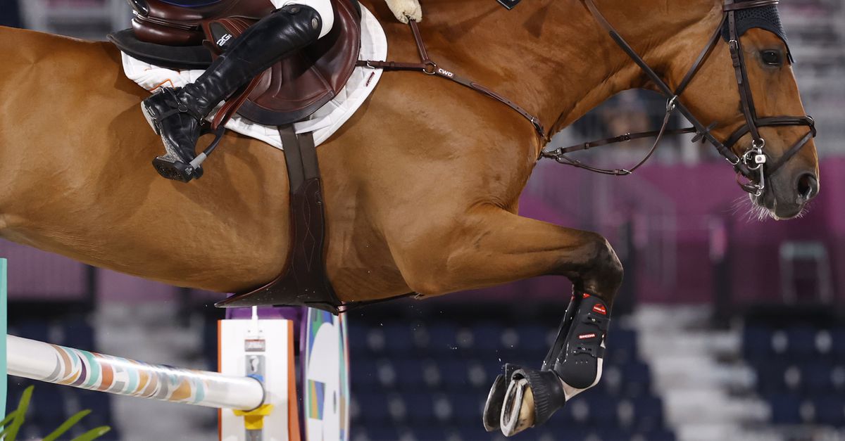 Brons voor springruiter Maikel van der Vleuten met ...