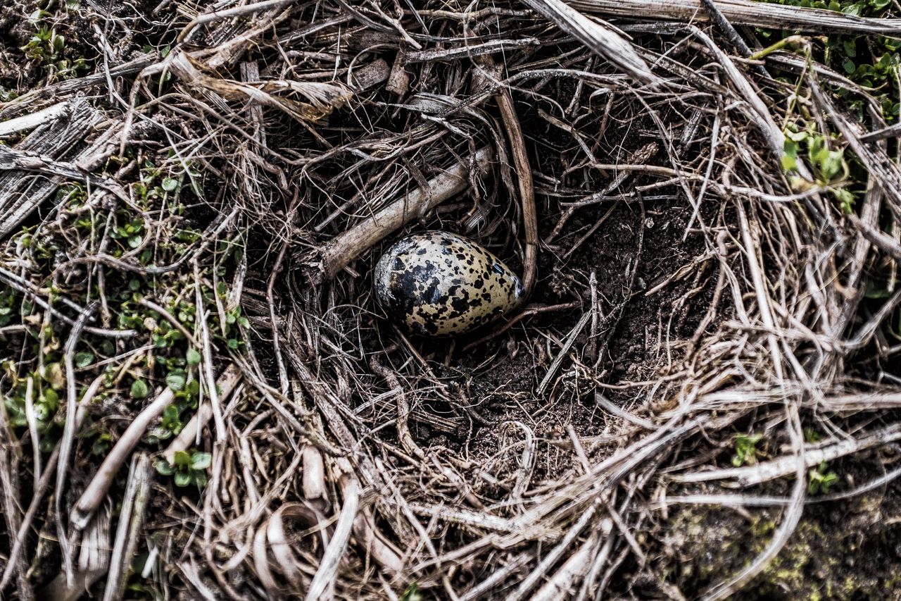 Maartse regen kwam net op tijd voor de smachtende natuur 