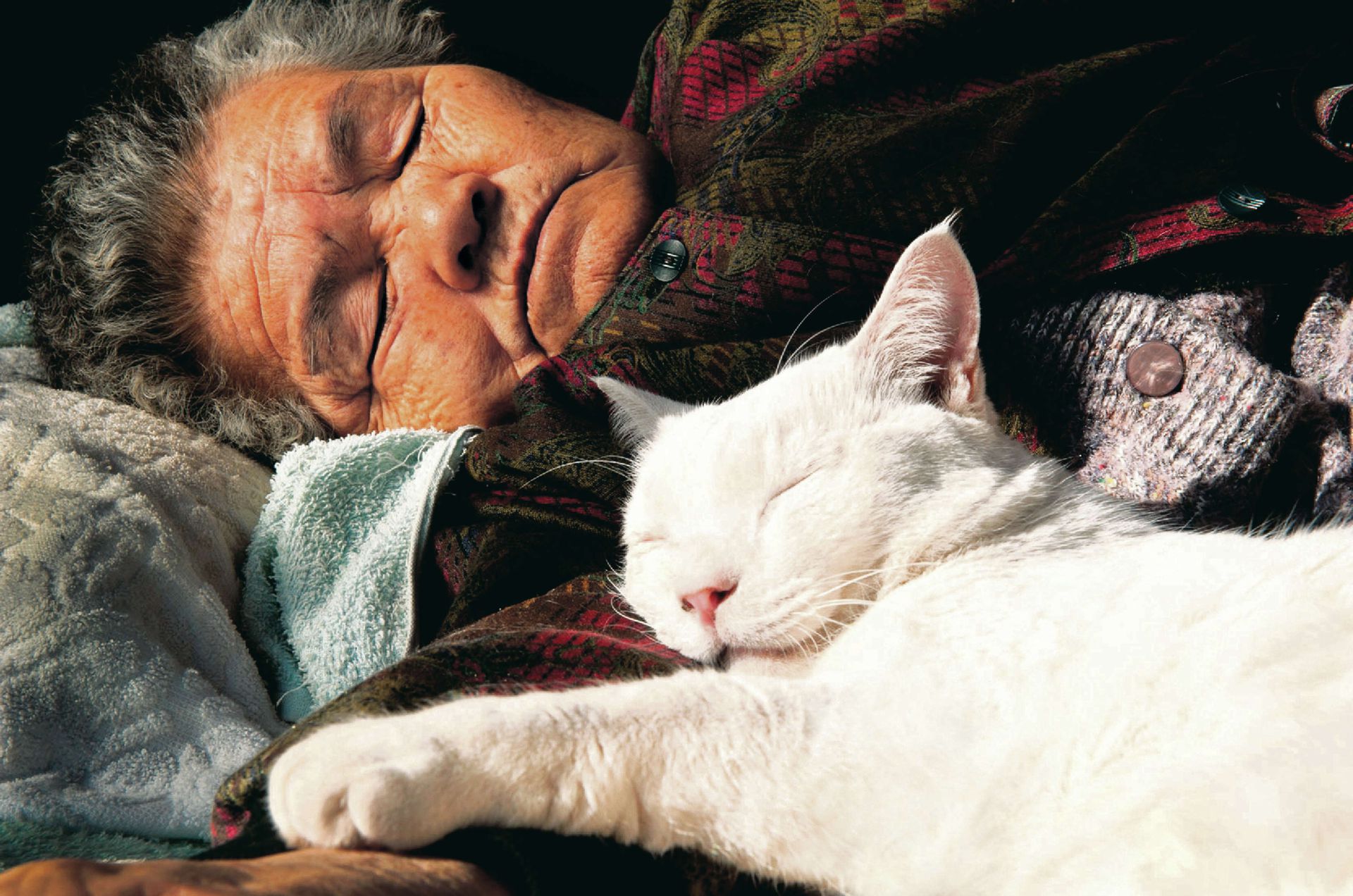 Старики спят. Бабушка с котом. Дедушка кот. Пожилые люди с кошкой. Пожилая женщина с кошкой.