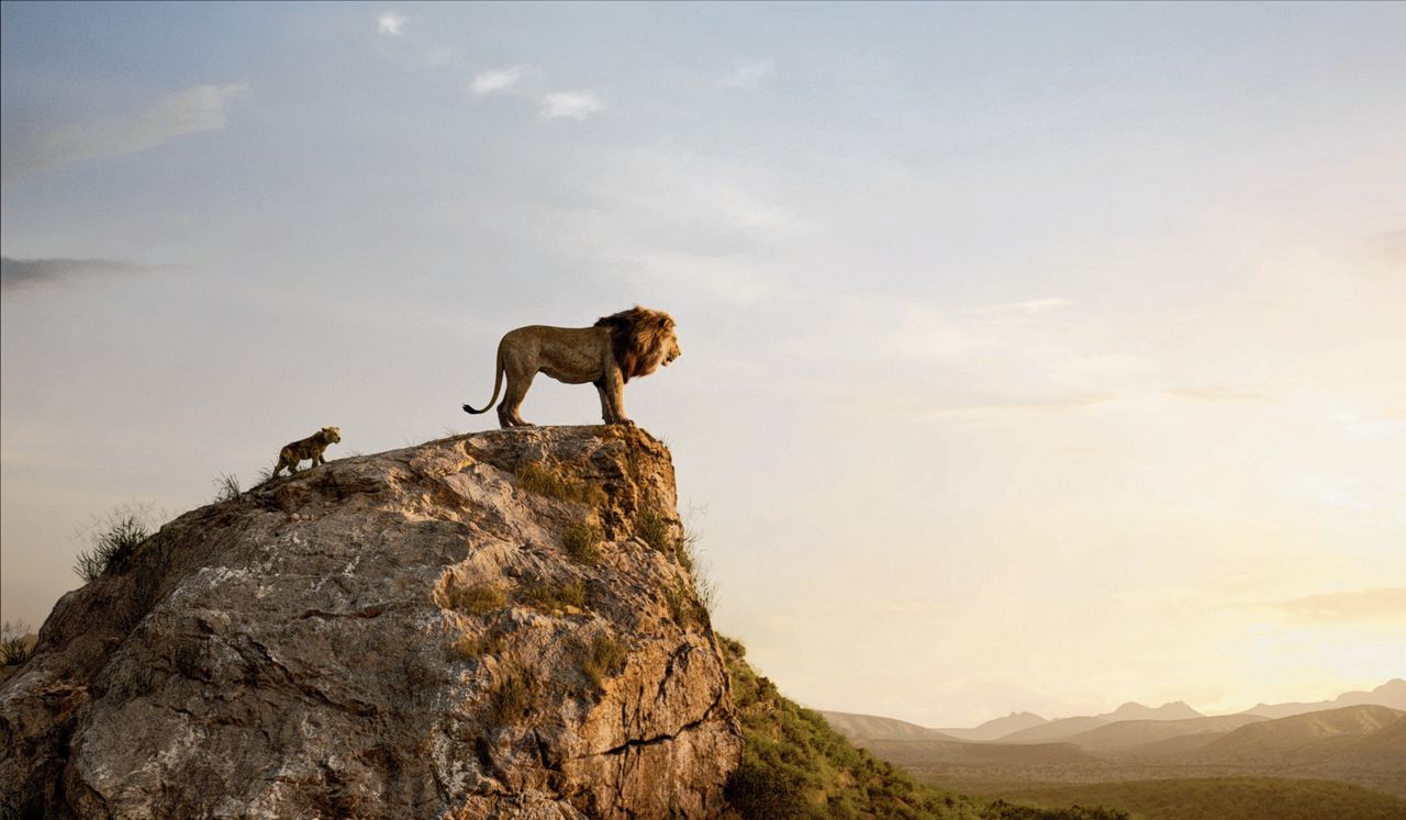 Disneys remake van ‘The Lion King’: met drie miljoen bezoekers de best bezochte film sinds ‘Titanic’ (1998).