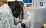 Pela primeira vez, uma vacina contra a malária está disponível no Mali, em parte graças aos seus próprios investigadores