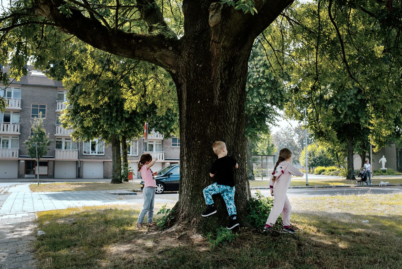 Kinderen aan het spelen in Heerlen.