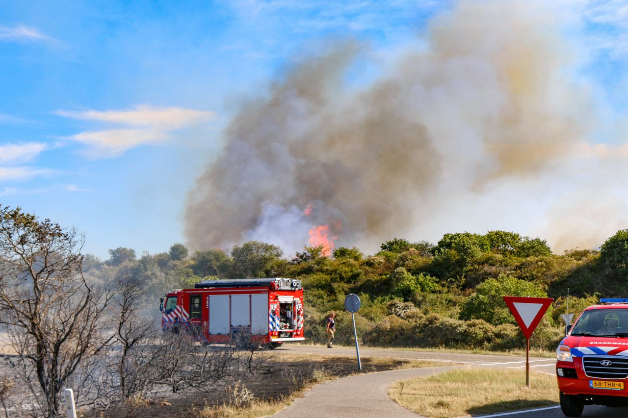 In het duingebied bij de Brouwersdam woedde dinsdag een felle natuurbrand. In de avond was het vuur onder controle.
