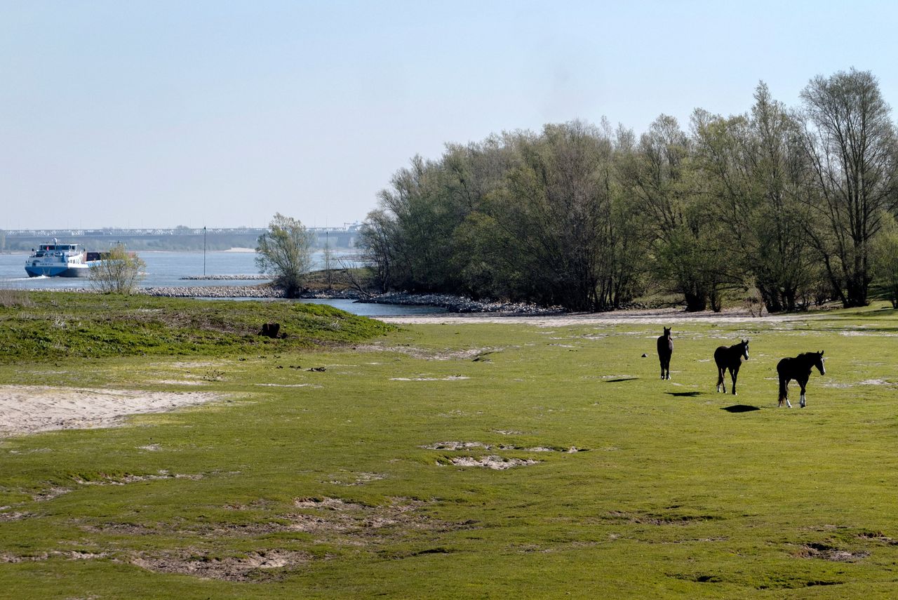 Woeste Rivier ‘Ruimte voor de rivier’ geldt als een succesverhaal. Nu is er een ...