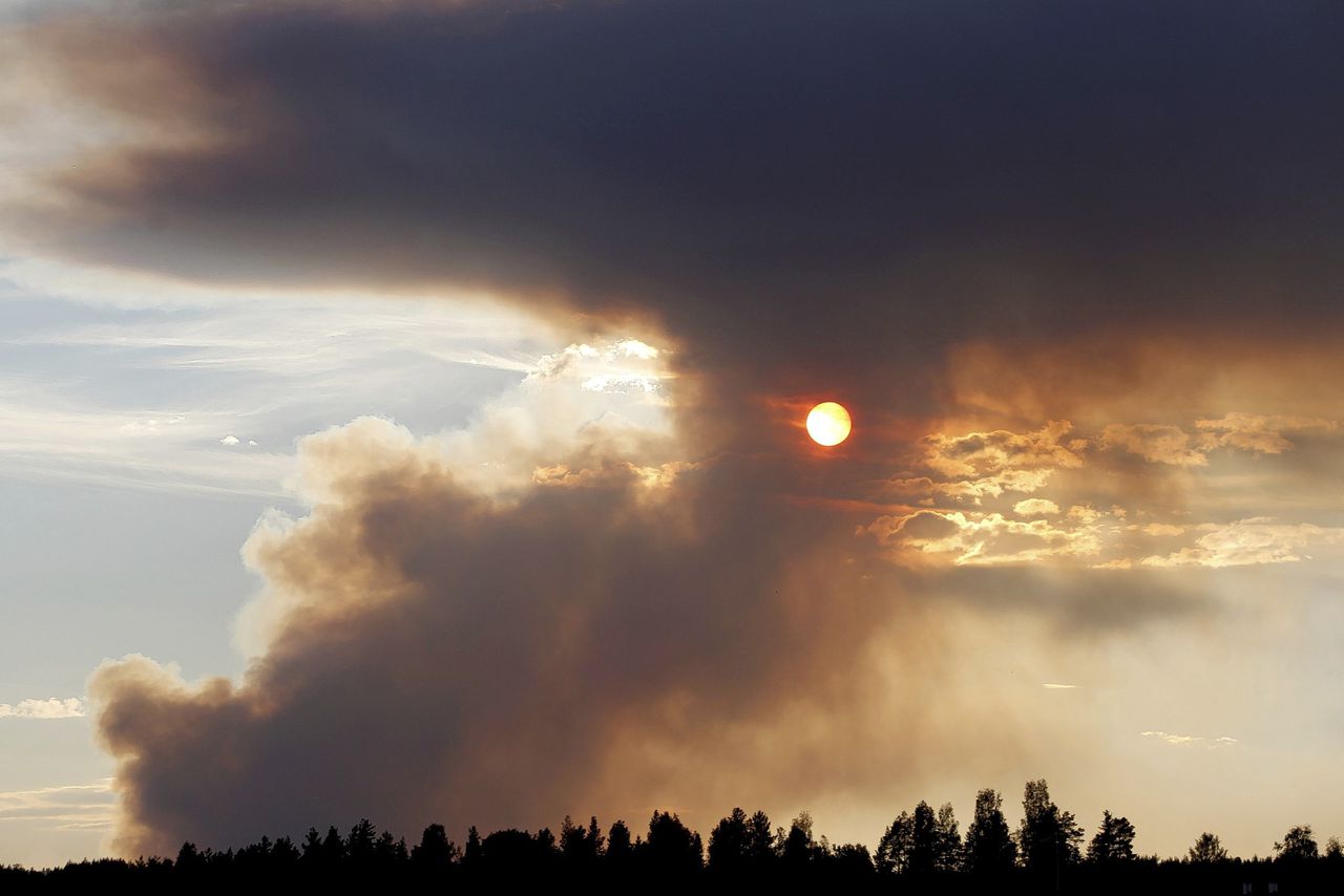 Door de hittegolf gaan duizenden hectares bos in rook op 