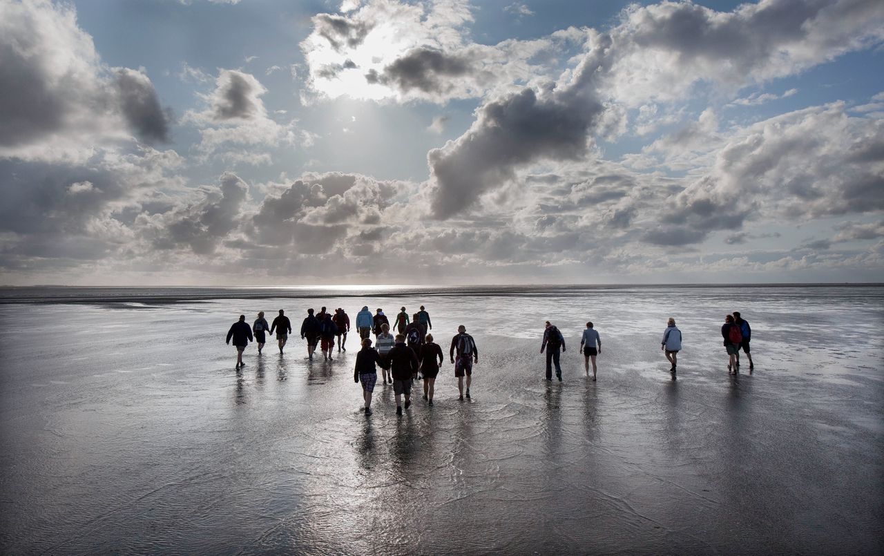Wadlopen in Friesland.