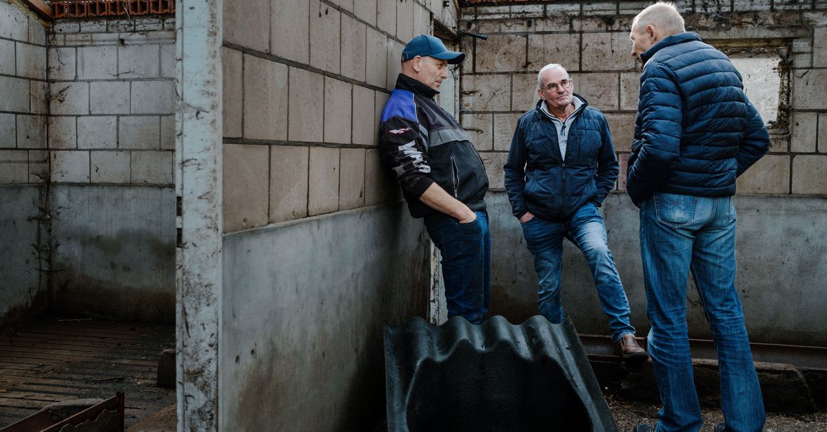 Zo verdwijnt het boerenleven uit de Brabantse Peel: &#8216;Er komt niemand meer, het is in één keer stil&#8217;