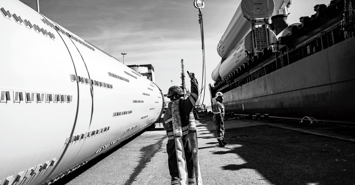 Wandelen door het voorland - NRC